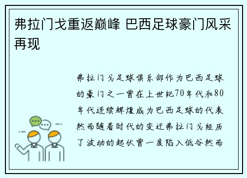 弗拉门戈重返巅峰 巴西足球豪门风采再现