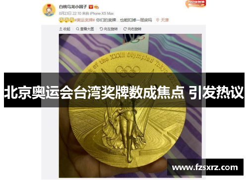 北京奥运会台湾奖牌数成焦点 引发热议