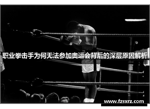 职业拳击手为何无法参加奥运会背后的深层原因解析